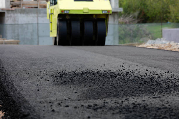 Best Brick Driveway Pavers  in Pine Castle, FL