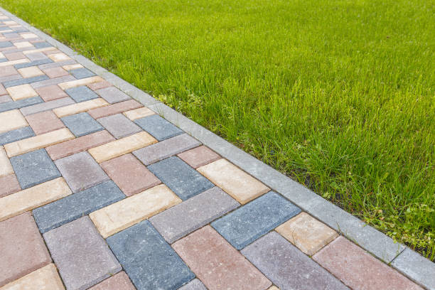 Best Best Driveway Pavers  in Pine Castle, FL